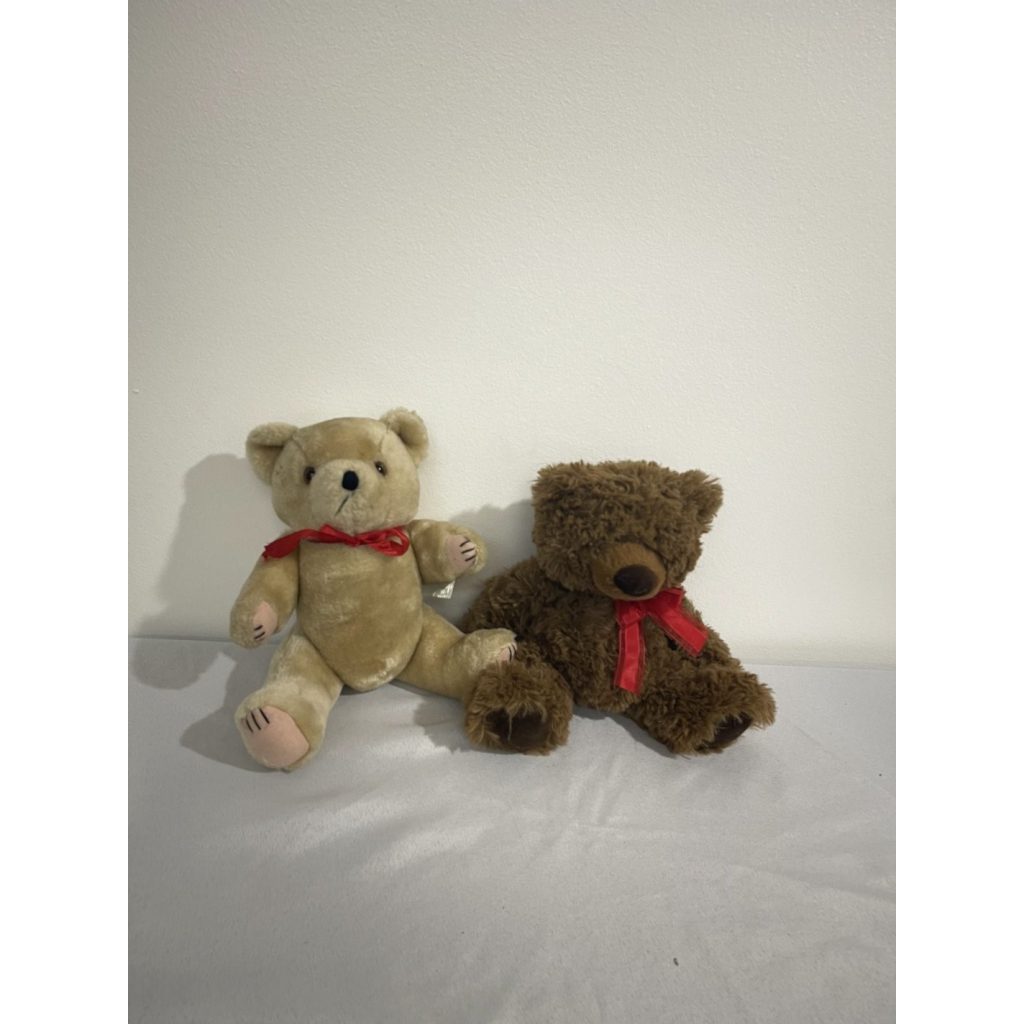 Medium Teddy Bear