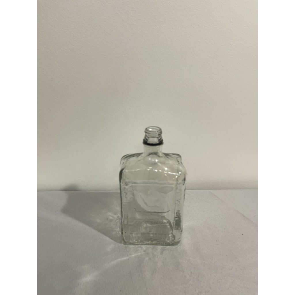 Clear Bottle Vase
